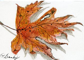 A Fallen Leaf Pat Danby West Allis WI watercolor NFS